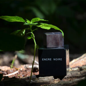 ادو تویلت مردانه لالیک انکر نویر Lalique Encre Noire Eau De Toilette 100Ml