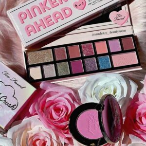 پالت سایه 14 رنگ پینک تایمز توفیسد Too Faced Pinker Times Ahead Eyeshadow Palette