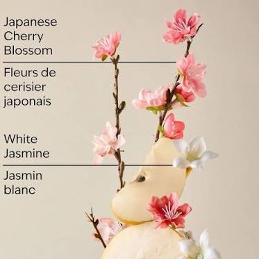 کره بدن شکوفه گیلاس ژاپنی بث اند بادی Bath & Body Woks Body Butter Japanese Cherry Blossom 185g - Image 4