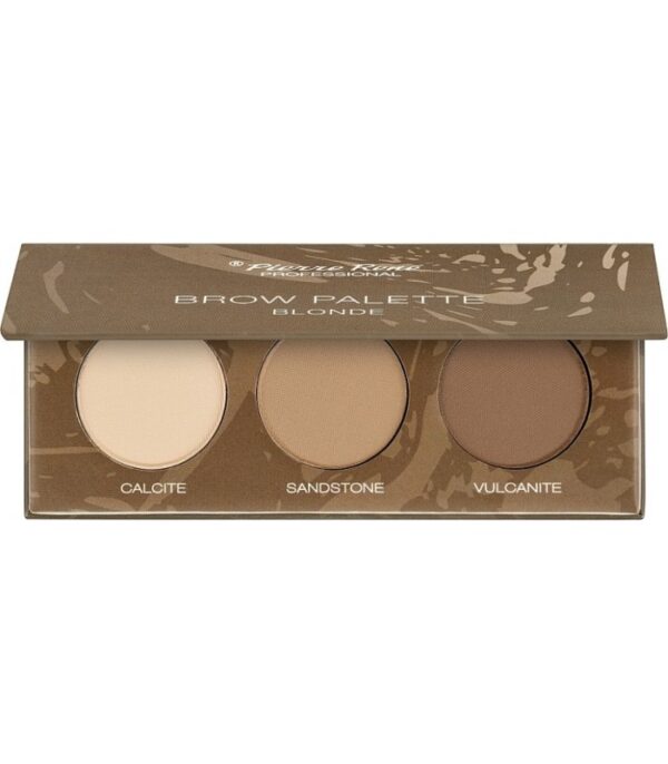 پالت سایه ابرو پیرنه Pierre Rene Brow Palette