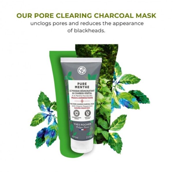 ماسک زغال پاکسازی منافذ و ضد جوش ایوروشه Yves Rocher Pore Clearing Charcoal Pure Menthe
